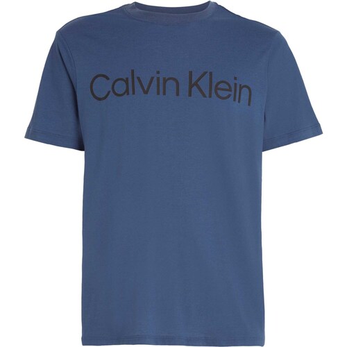Textiel Heren T-shirts & Polo’s Calvin Klein Jeans Pw - S/S T-Shirt Blauw