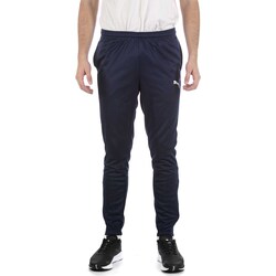 Textiel Heren Broeken / Pantalons Puma Teamrise Poly Training Pants Blauw