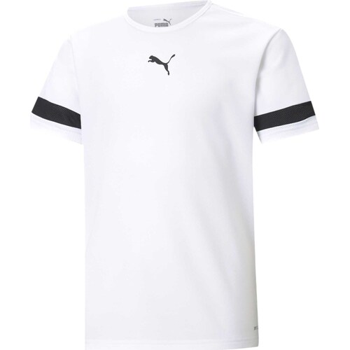 Textiel Kinderen T-shirts & Polo’s Puma Teamrise Jersey Jr Wit