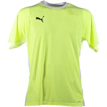 Textiel Heren T-shirts & Polo’s Puma Teamliga Padel Shirt Geel