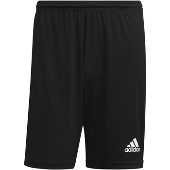 Textiel Heren Korte broeken / Bermuda's adidas Originals Pantaloni Corti  Squad 21 Nero Zwart