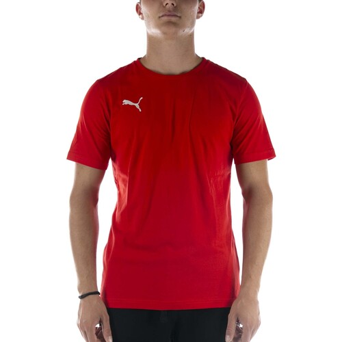 Textiel Heren T-shirts & Polo’s Puma T-Shirt  Teamgoal 23 Casuals Tee Rosso Rood