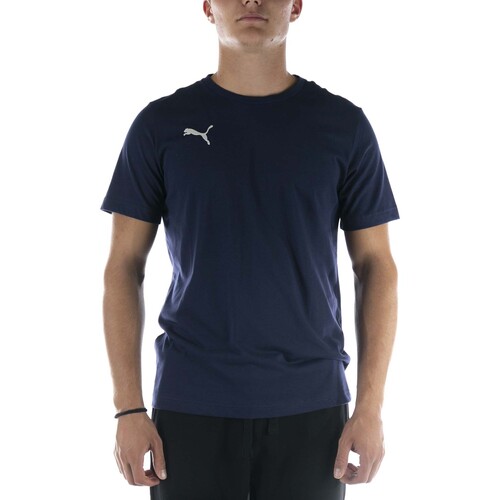 Textiel Heren T-shirts & Polo’s Puma T-Shirt  Teamgoal 23 Casuals Tee Blu Blauw