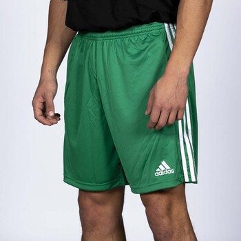 adidas Originals Pantaloni Corti  Squad 21 Verde Groen