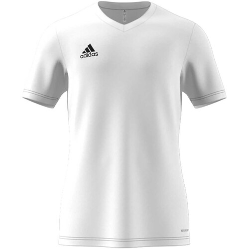 Textiel Heren T-shirts & Polo’s adidas Originals Ent22 Jsy White Wit