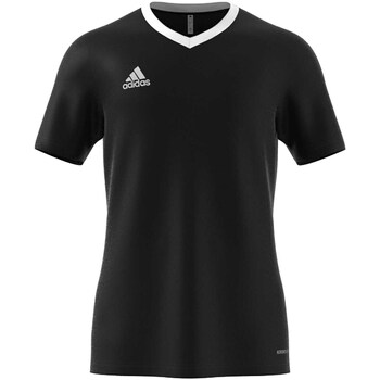Textiel Heren T-shirts & Polo’s adidas Originals T-Shirt Adidas Ent22 Jsy Nero Zwart