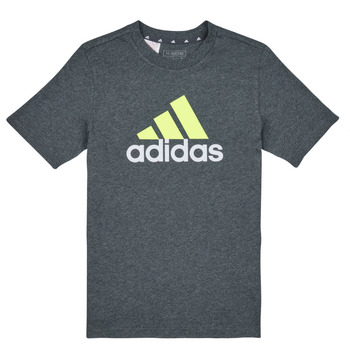 Textiel Jongens T-shirts korte mouwen Adidas Sportswear BL 2 TEE Grijs / Wit / Groen