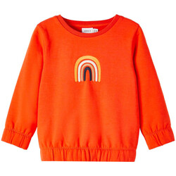 Textiel Meisjes Sweaters / Sweatshirts Name it  Orange