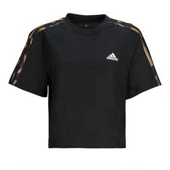 Textiel Dames T-shirts korte mouwen Adidas Sportswear VIBAOP 3S CRO T Zwart / Goud