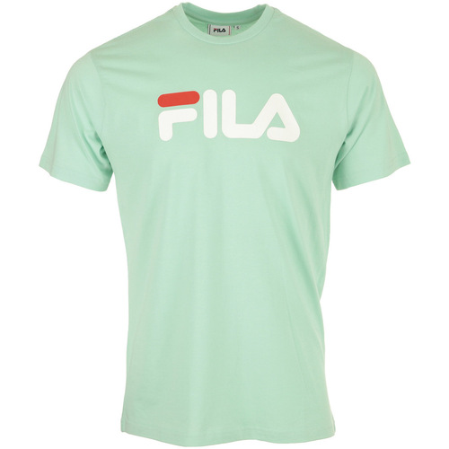Textiel T-shirts korte mouwen Fila Classic Pure Tee SS Groen