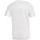 Textiel Jongens T-shirts & Polo’s adidas Originals  Wit