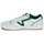 Schoenen Heren Lage sneakers Vans Lowland CC JMP R COURT Wit / Groen