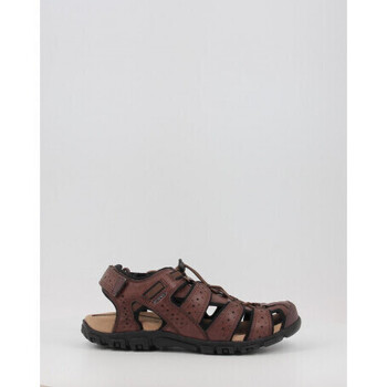 Schoenen Heren Sandalen / Open schoenen Geox UOMO SANDAL STRADA U6224B Brown