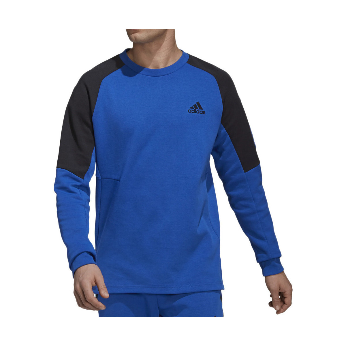 Textiel Heren Sweaters / Sweatshirts adidas Originals  Blauw