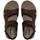Schoenen Heren Sandalen / Open schoenen Merrell SANDSPUR RIFT STRAP Brown