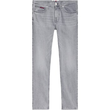 Textiel Heren Broeken / Pantalons Tommy Jeans VAQUERO SLIM HOMBRE   DM0DM12663-1BZ Grijs