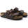 Schoenen Dames Sandalen / Open schoenen Birkenstock Arizona BS Brown