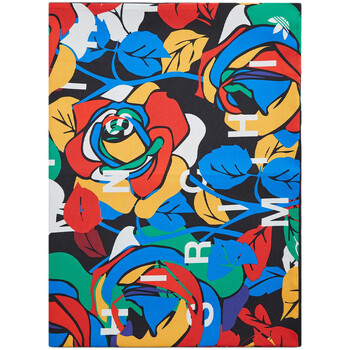 Accessoires Dames Sjaals adidas Originals  Multicolour