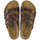 Schoenen Dames Sandalen / Open schoenen Birkenstock Florida Brown
