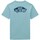 Textiel Heren T-shirts korte mouwen Vans CAMISETA  HOMBRE OTW CLASSIC BACK VN00004WBVP Blauw