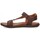 Schoenen Heren Sandalen / Open schoenen Kangaroos 69407 Brown