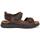Schoenen Heren Sandalen / Open schoenen Fluchos F1773 Brown