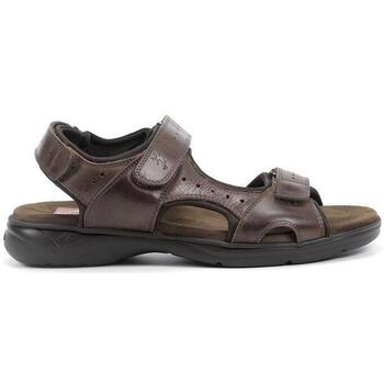 Schoenen Heren Sandalen / Open schoenen Fluchos F1201 Brown