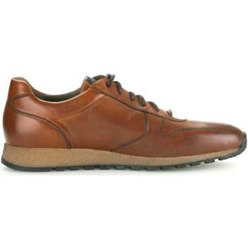 Schoenen Heren Sneakers Pius Gabor 0496.13.11 Brown