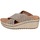 Schoenen Dames Sandalen / Open schoenen Femme Plus BC332 Brown