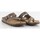 Schoenen Heren Sandalen / Open schoenen Interbios 31538 Brown
