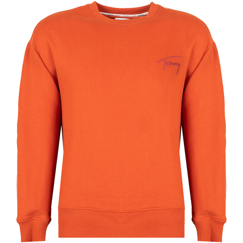 Textiel Heren Sweaters / Sweatshirts Tommy Hilfiger DM0DM12373 Orange