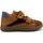 Schoenen Jongens Allround Primigi Sneakers Pdt 64092 Marrone Brown