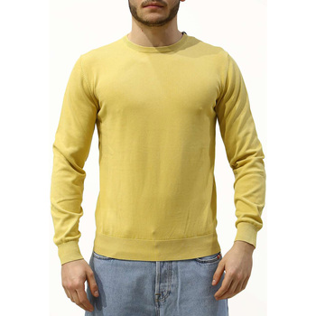 Textiel Heren Sweaters / Sweatshirts At.p.co Maglia Uomo Geel