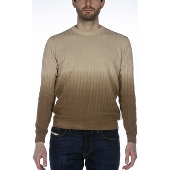 Textiel Heren Sweaters / Sweatshirts At.p.co Maglia  Uomo Brown