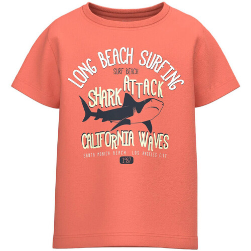 Textiel Kinderen T-shirts korte mouwen Name it  Orange