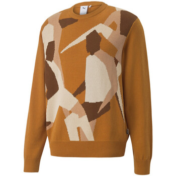 Textiel Heren Sweaters / Sweatshirts Puma  Orange