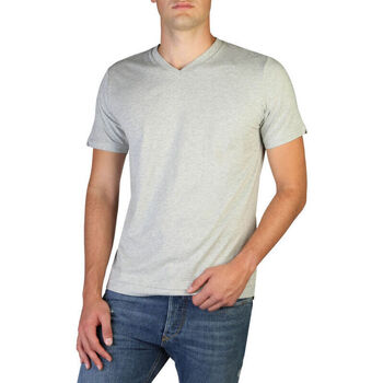 Textiel Heren T-shirts korte mouwen Diesel - t-cherubik-new_00sw7q_0091a Grijs