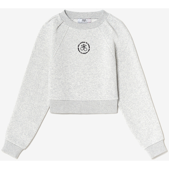 Textiel Meisjes Sweaters / Sweatshirts Le Temps des Cerises Sweater met capuchon COBYGI Grijs