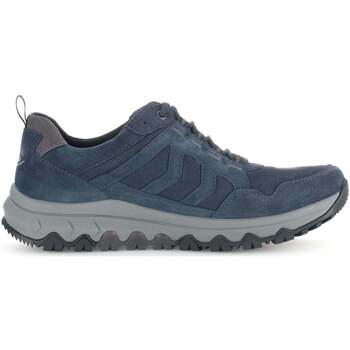 Schoenen Heren Sneakers Pius Gabor 8005.50.02 Blauw