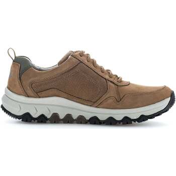 Schoenen Heren Sneakers Pius Gabor 8005.11.03 Brown