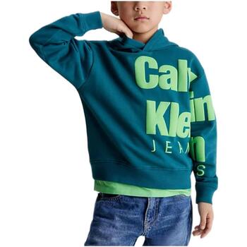 Textiel Jongens Sweaters / Sweatshirts Calvin Klein Jeans  Groen