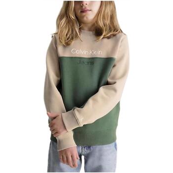 Textiel Jongens Sweaters / Sweatshirts Calvin Klein Jeans  Multicolour