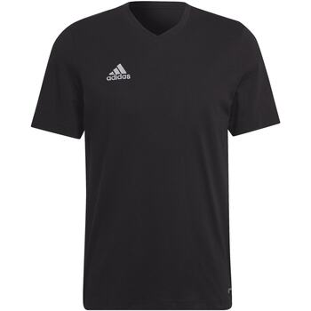 Textiel Heren T-shirts korte mouwen adidas Originals Ent22 Tee Zwart