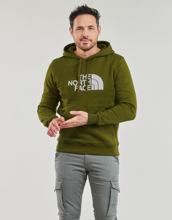 Textiel Heren Sweaters / Sweatshirts The North Face DREW PEAK PULLOVER HOODIE Kaki