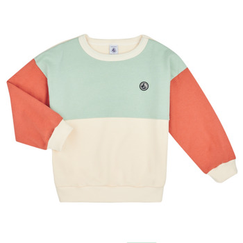 Textiel Jongens Sweaters / Sweatshirts Petit Bateau MAEL Wit / Groen