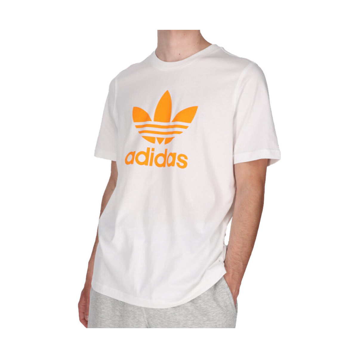 Textiel Heren T-shirts & Polo’s adidas Originals  Wit