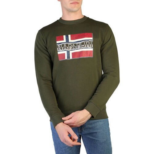 Textiel Heren Sweaters / Sweatshirts Napapijri - bench_np0a4fqzg Groen