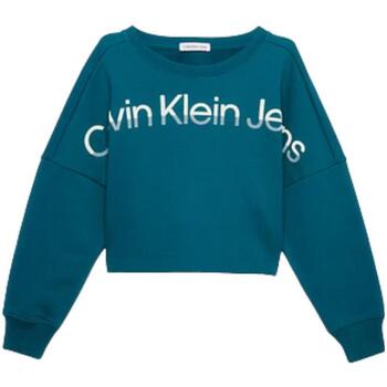 Textiel Meisjes Sweaters / Sweatshirts Calvin Klein Jeans  Groen