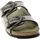 Schoenen Dames Sandalen / Open schoenen Scholl Mules Donna Verde Denyse/1183 Groen