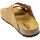 Schoenen Dames Sandalen / Open schoenen Biostar Mules Doppia Fascia Donna Cuoio 205 new Brown